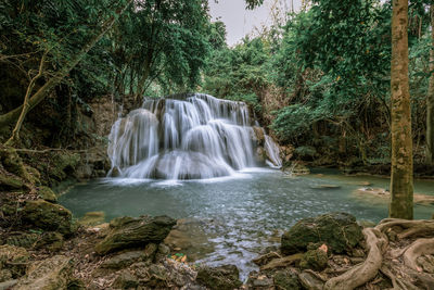 Scenic view of waterfall in forest