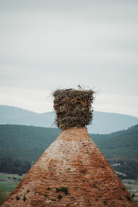 Scenic view of bird nest against sky