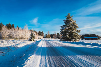 Road amidst trees against sky