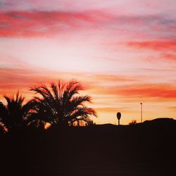 Silhouette of trees at sunset