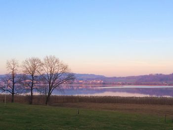 Bare trees on landscape against clear sky