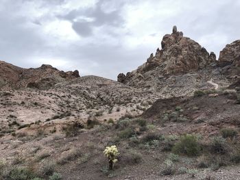 Scenic view of desert against sky