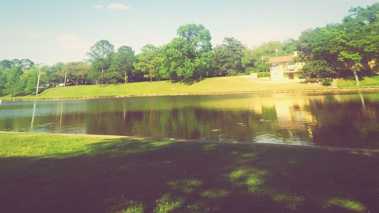 tree, water, tranquility, reflection, tranquil scene, lake, beauty in nature, green color, growth, scenics, nature, sky, pond, waterfront, river, idyllic, day, outdoors, no people, clear sky