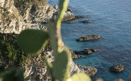 High angle view of rocks on beach