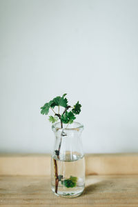 Close-up of vase on table