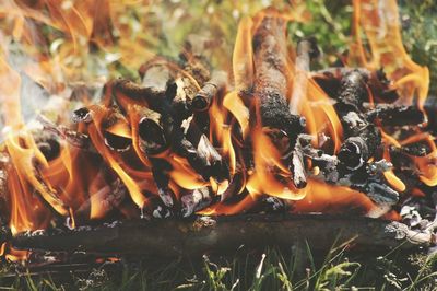 Close-up of bonfire on field