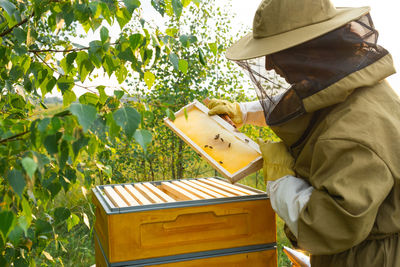 Rear view of man working at farm