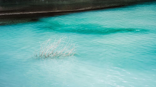 High angle view of swimming pool in sea