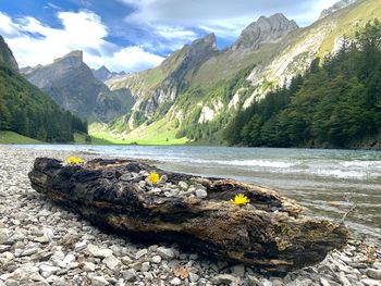 Scenic view of lake and mountains against sky-seealpsee / kt. appenzell innerrhoden