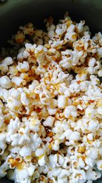 Close-up of white flowers