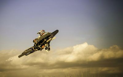 Low angle view of bird flying against sky