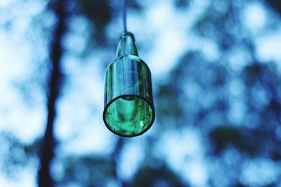 Low angle view of glass hanging from tree