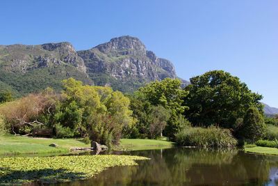 Scenic view of lake and trees against clear sky