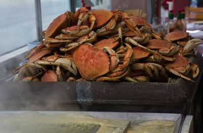 Close-up of crabs in container at kitchen