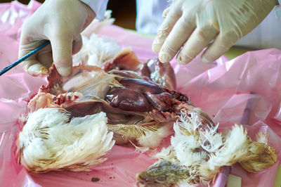 High angle view of hand holding food