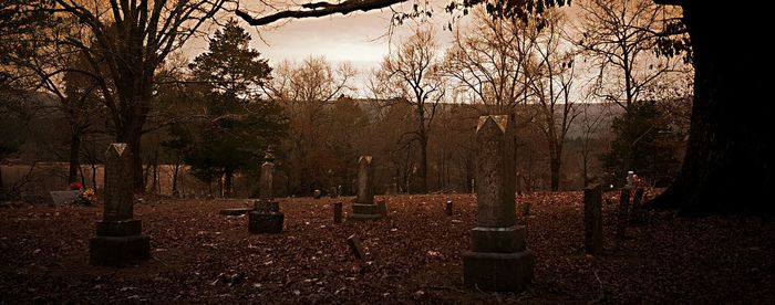 Trees in cemetery against sky