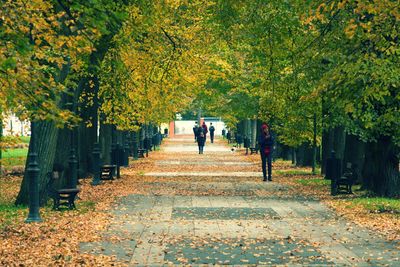 Rear view of people walking on footpath in park during autumn