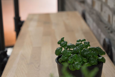 High angle view of vegetables on cutting board