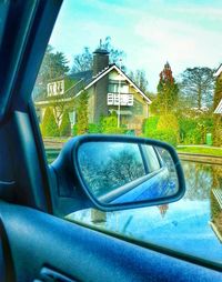 Reflection of trees in side-view mirror