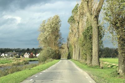 Road amidst trees against sky