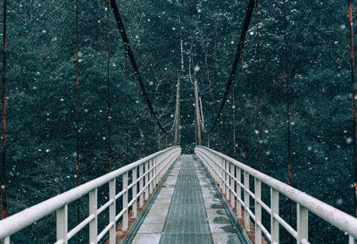 Empty footbridge against trees in forest during snowfall