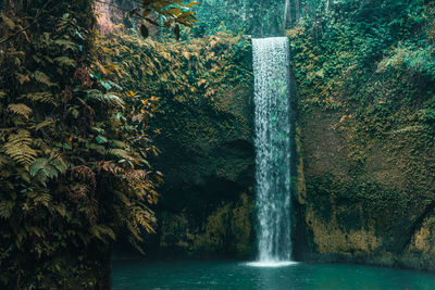 Scenic view of waterfall in forest