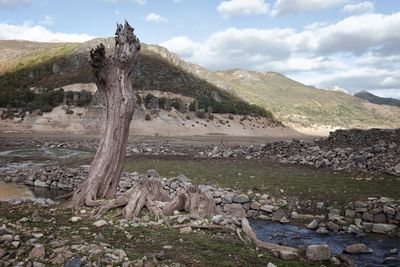 Scenic view of a village under a swamp, affected by drought