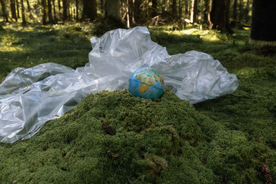 plastic bag
