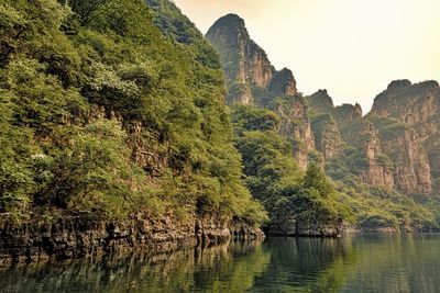 View of trees on cliff