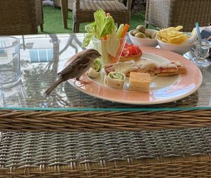 Close-up of ice cream in basket on table