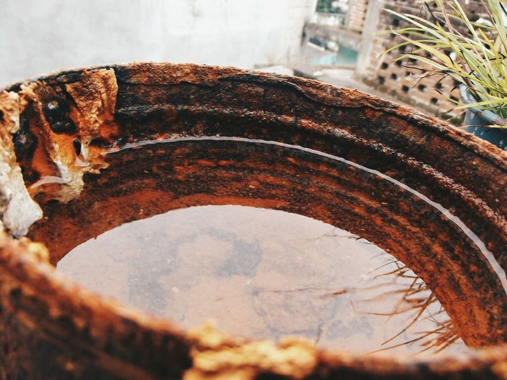 close-up, selective focus, tree, day, old, outdoors, built structure, rusty, wood - material, weathered, focus on foreground, no people, nature, brown, architecture, sunlight, pattern, deterioration, textured, damaged