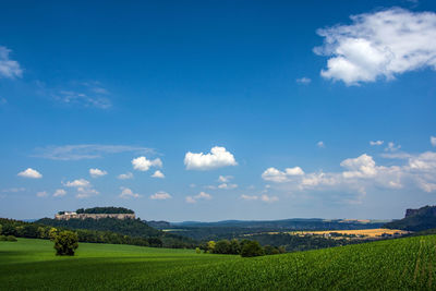 Scenic view of agricultural field against sky