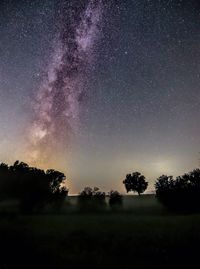 Silhouette trees on field against sky at night