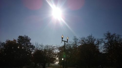 Low angle view of trees against sky