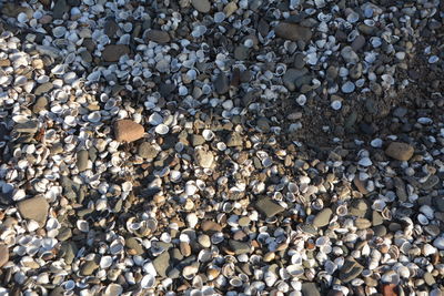 High angle view of stones on pebbles