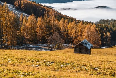 Wooden cabin in colorful autumn landscape above a sea of clouds, filzmoos, salzburg, austria.