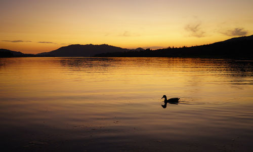 Scenic view of lake against sky during sunset