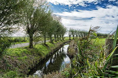 Reflection of trees on water in canal