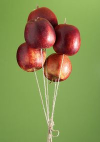 Low angle view of balloons