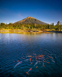 Scenic view of lake and mountains against sky