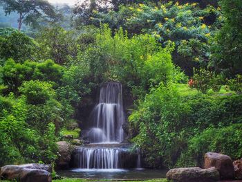 Waterfall in forest