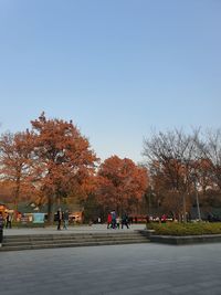 Trees by road against clear sky during autumn