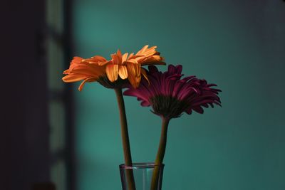 Close-up of red flower in vase