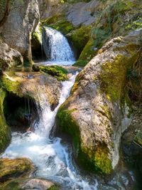 Scenic view of waterfall in forest