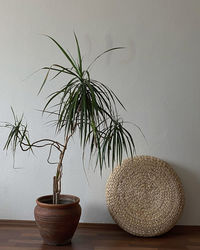 Potted plant on table