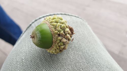 High angle view of fruits