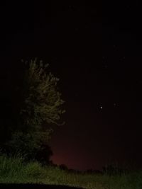 Trees on field against sky at night