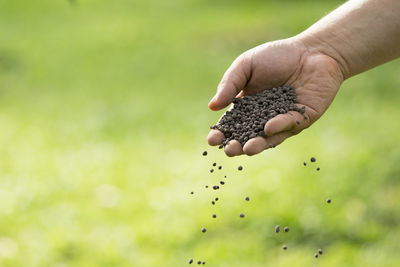 Cropped hand spilling seed on field