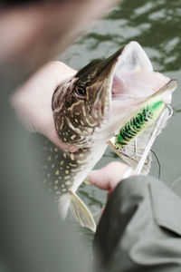 High angle view of man holding fish by lake