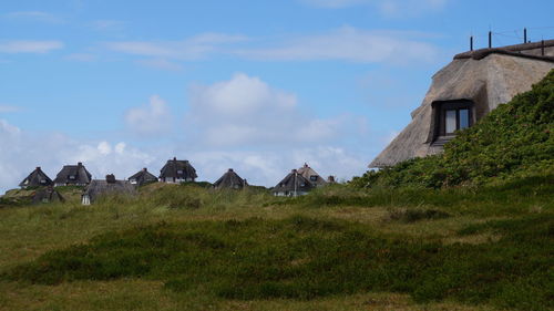 Traditional houses on grassy field in sylt at schleswig-holstein